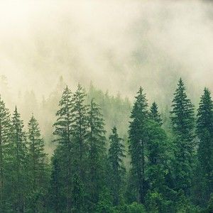 Meet your Posher, Kerry